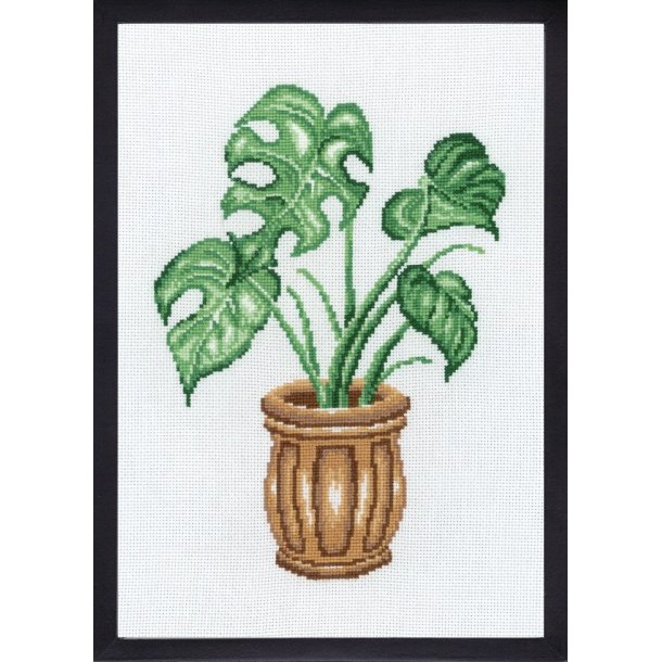 Broderi (billede) med Monstera plante 